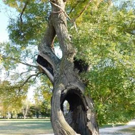 Cziráky-kastély, Lovasberény - 