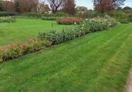 Cziráky Margit Rózsakert Fertőd