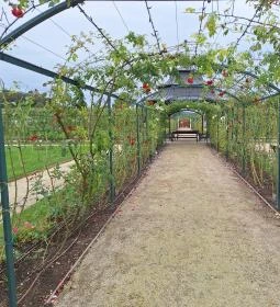 Cziráky Margit Rózsakert