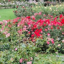 Cziráky Margit Rózsakert Fertőd - Külső kép