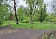 Czóbel-kúria Anarcs