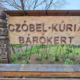 Czóbel-kúria Anarcs - Egyéb