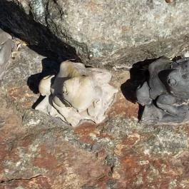 Daru szoborcsoport Hortobágy - Egyéb