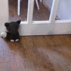 DasCafé Herceghalom - Belső