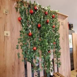 De' Finci Budapest - Egyéb