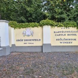 gróf Degenfeld Kastélyszálló, Tarcal - Külső kép