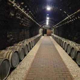 gróf Degenfeld Kastélyszálló, Tarcal - Belső