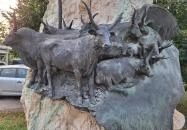 Délibáb díszkút Berekfürdő