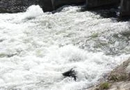 Denkpál-Hallépcső Dunasziget