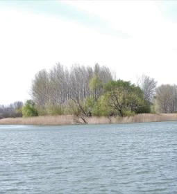 Denkpál-Hallépcső