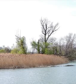 Denkpál-Hallépcső