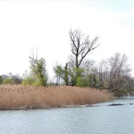 Denkpál-Hallépcső, Dunasziget - Külső kép