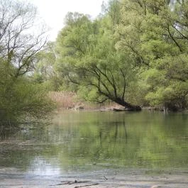 Denkpál-Hallépcső, Dunasziget - Külső kép