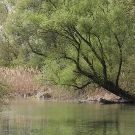 Denkpál-Hallépcső, Dunasziget - Külső kép