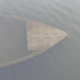 Derítő-tó Tata - Egyéb