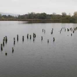 Derítő-tó Tata - Külső kép