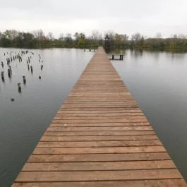 Derítő-tó Tata - Egyéb