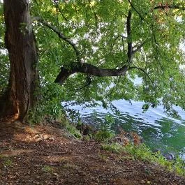 Deseda Kaposvár - Külső kép