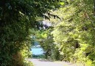 Deseda Kaposvár Deseda Kaposvár