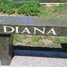 Diana hercegnő emlékpadja, Örményes - Egyéb