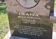 Diana hercegnő emlékpadja Örményes