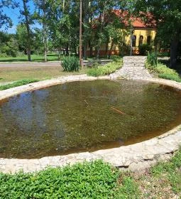 Diana hercegnő emlékpadja