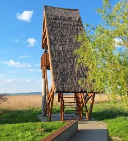 226. legjobb látnivaló: Dinnyési kilátó & Sarvajc-kereszt