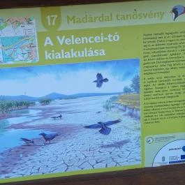 Dinnyési kilátó & Sarvajc-kereszt Dinnyés - Egyéb