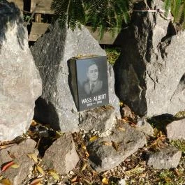 Diófa Csárda Harc - Egyéb