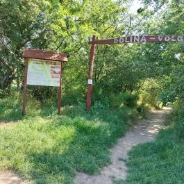 Dolina-völgy Albertirsa - Külső kép