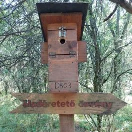 Dolina-völgy Albertirsa - Egyéb