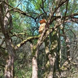 Dolina-völgy Albertirsa - Egyéb