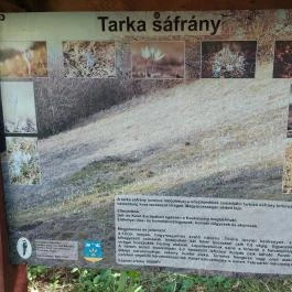 Dolina-völgy Albertirsa - Egyéb