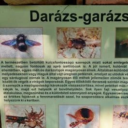 Dolina-völgy Albertirsa - Egyéb