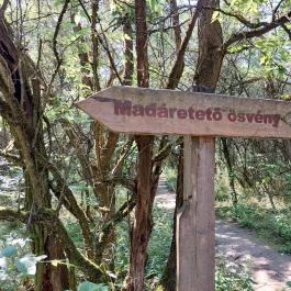 Dolina-völgy Albertirsa - Egyéb