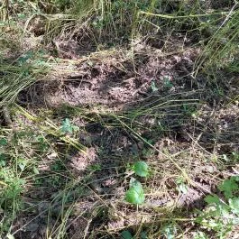 Dolina-völgy Albertirsa - Egyéb