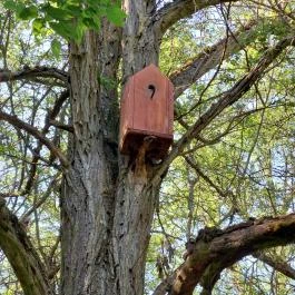 Dolina-völgy Albertirsa - Egyéb