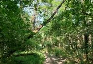 Dolina-völgy Albertirsa