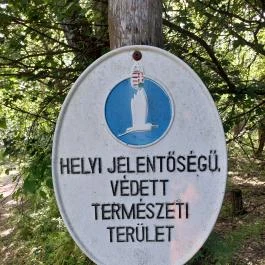 Dolina-völgy Albertirsa - Egyéb