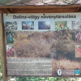Dolina-völgy Albertirsa - Egyéb