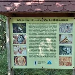 Dolina-völgy Albertirsa - Egyéb