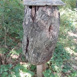 Dolina-völgy Albertirsa - Egyéb