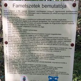 Dolina-völgy Albertirsa - Egyéb