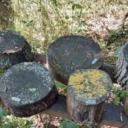 Dolina-völgy Albertirsa - Egyéb