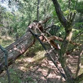 Dolina-völgy Albertirsa - Egyéb