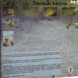 Dolina-völgy Albertirsa - Egyéb