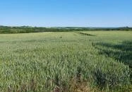 Dolina-völgy Albertirsa