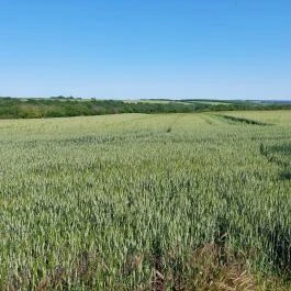 Dolina-völgy Albertirsa - Külső kép