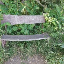 Dolina-völgy Albertirsa - Egyéb