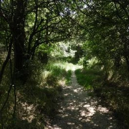 Dolina-völgy Albertirsa - Külső kép